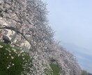世界で使える英語スキルが身に付きます これからの日本で生き抜くならグローバル英語スキルです！ イメージ1