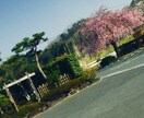 主に風景写真を提供します 田舎での撮影ですので、自然を感じる写真を提供させて頂きます イメージ5