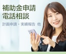 補助金に関する相談、電話でうかがいます 申請相談から採択後の相談まで｜補助金サポート歴10年 イメージ1