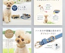 7枚セット！売上UPに繋がる商品画像作成します 楽天・Amazon・EC用商品画像作成はお任せください！ イメージ4