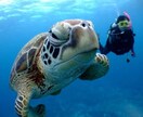 カリスマ、ドSの私が、ヤバい親友として話を聞きます カウンセラーとしてではなく悩み、相談欲しい話5分でも聞きます イメージ9