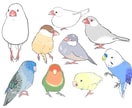 アイコンやヘッダーにつかえます あなたのお家の愛鳥さん描きます イメージ1