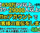 月650万PVツイッターの固定ツイートで宣伝します フォロワー4万、月間650万pvの力で強力に拡散します！ イメージ1