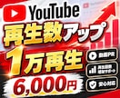 YouTube再生回数1万回〜増加サポートします YouTube1万再生〜増加サポート！動画PR・再生数アップ イメージ1
