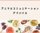 アニマルコミュニケーションのアドバイスします 勉強中・練習中の方、気軽にお問い合わせください イメージ1