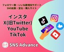 Instagram日本人女性フォロワー増やします 減少ほぼなし★高品質★インスタ日本人女性フォロワー＋100人 イメージ4
