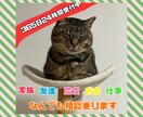 話を聞いて欲しい、なんでも聞きます どんな悩みでも、ただ愚痴を聞いてほし時でもいつでも話聞きます イメージ1