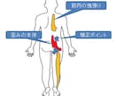 てい鍼プレゼント付き！望診法通信講座を公開します 始原東洋医学を基とした、気や経絡を感知する望診の修得講座です イメージ3