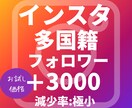インスタグラム外国人フォロワー増加サポートします 多国籍フォロワー3000人お試し価格で増加させます イメージ1