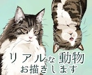商用◎本格リアルなペット似顔絵丁寧にお描きします 犬猫鳥動物OK◎記念グッズ/プレゼント/挿絵/アイコンに イメージ1