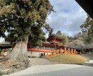 看護、介護のお悩み相談承ります 急な入退院の準備や介護施設についてわかりやすくお伝えします! イメージ1