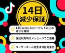 TikTokフォロワー1,000人増やします 高品質・多国籍フォロワー・14日減少保証・複数数量対応 イメージ3