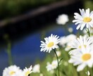 不妊治療経験者の薬剤師がお悩み聞きます 誰にも相談出来ない辛い気持ちを吐き出したい方向け！ イメージ1