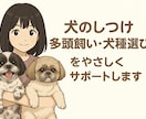犬のしつけ多頭飼い犬種選びをやさしくサポートします 犬種選びからしつけまで！安心相談 初心者から上級者までカバー イメージ1