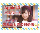 Apple ID・パスワードの問題サポートします 初心者さん必見★AppleID・PWが分からないを解決します イメージ1