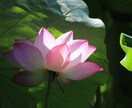 人生の転換期、過去、現在、未来についてみていきます これからについて様々なツールを使って深く深くみていきます。 イメージ1