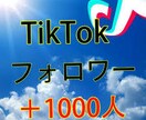 今だけ限定価格！TikTokフォロワー増加します TikTokフォロワー1000人増加まで宣伝します！ イメージ1