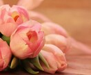 女性限定 プロコーチによる魅力開花コーチングします あなたの魅力を最大限に引き出す 90分ビデオセッション イメージ9