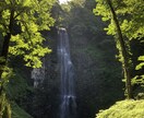 悩み、相談、なんでもお話し聞きます 自分の経験から、相談、愚痴をお聞きします。秘密厳守します。 イメージ1
