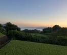 縁結びします 必ず成就しましょう。力をお貸し致します。 イメージ1