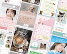 犬猫ペット関連特化！飼い主に届くチラシ制作します 元ペット業界デザイナーが、飼い主の心に届くチラシをデザイン イメージ4
