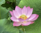 悩み相談、親身に考えます 電話が苦手な方も、お気軽にどうぞ。 イメージ1