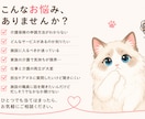役所に言えない介護の悩み、第二のケアマネが聞きます 公的窓口で解決しない介護のモヤモヤ、プロが本音で寄り添います イメージ4