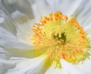 女性限定☆寂しい夜。あなたの孤独感を埋めます ひとりで心細い時。落ち着いた低音ボイスで優しく寄り添います イメージ2