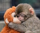 誰にも話せないお話、あなたのお話丁寧にお聴きします あなたの心が少しでも楽になりますように、丁寧にお聴きします イメージ1