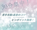 30分集中！時短ボイトレ！ポイント指導します 30分集中！音大卒が教える時短ボイトレ！ポイント指導！ イメージ1
