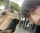 あなたのモヤモヤした気持ち、ちょっとスッキリします 生きずらい今を生きる貴方の悩み、思う存分話して欲しい イメージ2