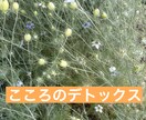 こころのデトックス・カウンセリングします 人生を変える、小さな気づきセッション イメージ1