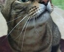 あなたの「辛い」「苦しい」を聞きます 悩みやグチを誰に話していいか分からない人 イメージ1