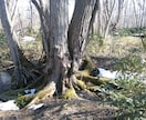 相手の気持ちと、相性、仕事などこれからを見ます あなたの悩みをオーラや前世から読み解きます イメージ1
