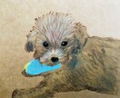 原画配送付き☆犬の絵を描きます あたたかみのあるクレパスで大切なわんちゃんの絵を描きます。 イメージ6