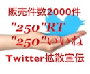 250RT以上Twitter80万人に宣伝します 圧倒的1万インプ・250いいね！SNS宣伝・集客・拡散！ イメージ1