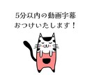 5分以内の動画(3本まで！)に字幕入れます 登録したてなので安くて早いを心がけます！ イメージ1