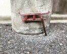 とにかく秘密は厳守します 私は変わり者ですので変わり者目線でお話を伺います。 イメージ1