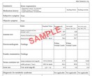 証明書の翻訳3,800円から行います 最短当日納品も可能です！証明書をスマホで撮影して送るだけ！ イメージ6