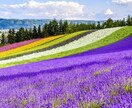あなたの夢を聴いて、励まします あなたの夢は何ですか？私に聴かせてください。 イメージ1