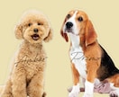 写真を元にペットイラスト似顔絵を作成します 愛犬・愛猫・など愛するわが子をデジタルイラストにしませんか？ イメージ1