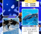 Instagram投稿画像作成します ★修正回数無制限★ターゲットにささる画像お任せください！ イメージ8