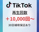 TikTok再生回数＋10,000回以上宣伝します ✅再生回数増加確実！/振り分け可能/カテゴリー最低価格！ イメージ1