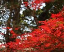 写真素材提供、福岡の風景・食べ物色々撮影します コロナ禍で旅行に行けない皆さん旅行気分を味わってみませんか？ イメージ1