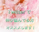 Twitterで伸び悩んでる方にご紹介します Twitterのノウハウあります！ イメージ1