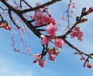 企業の吉祥名を付けます ちょっと待って！企業名で社運の運気は変わります。 イメージ2