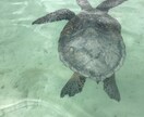 人生恋愛ビジネス悩み事の相談に親身にお応えします 万代相談所、1人で悩まず話すことで前に進みましょう。 イメージ2