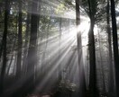 彼の心がわかる「魂レベル」で相性と運命を霊視します 恋愛・相性鑑定『魂縁の書 ～結びの刻を知る～魂の波動を霊視』 イメージ7