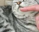 優男のぼくが【なんでも恋愛相談】文字で相談乗ります 片思い⭐失恋⭐嬉しかったこと⭐不倫⭐テキストでやりとりします イメージ5