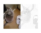 画像や写真の編集を承ります 写真をイラストに！画像をもとに塗り絵作成！白黒写真をカラーに イメージ3